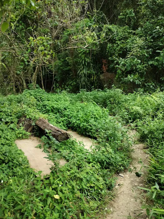 Puncak Bukit Galing Picture 10