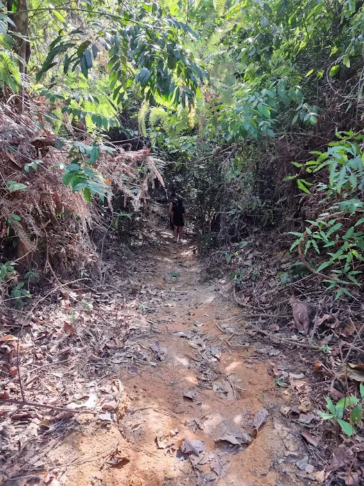 Puncak Bukit Galing Picture 4
