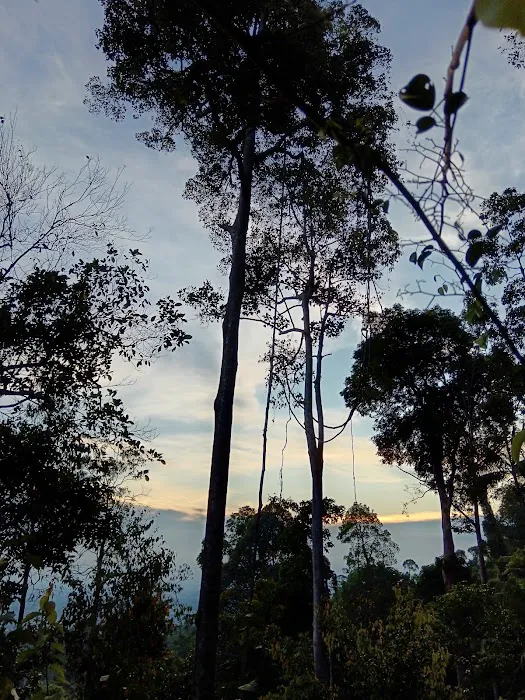Puncak Bukit Galing Picture 5