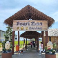Paddy Museum ico