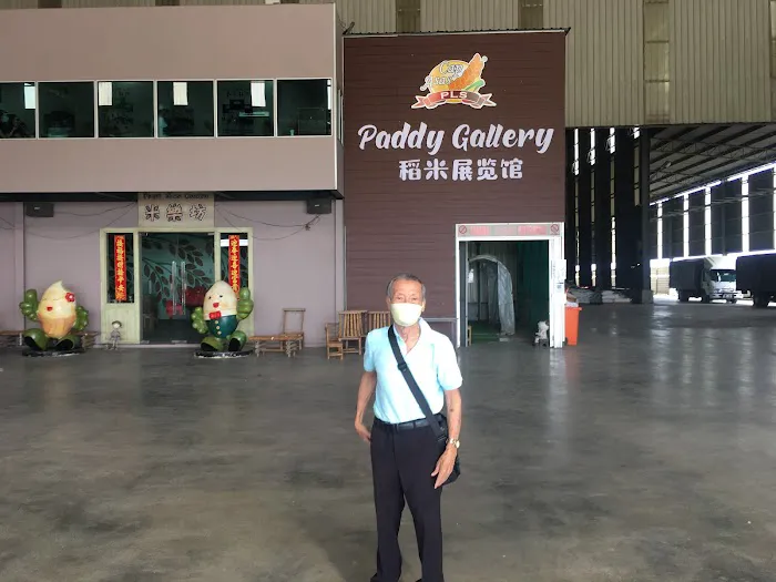 Paddy Museum Picture 4