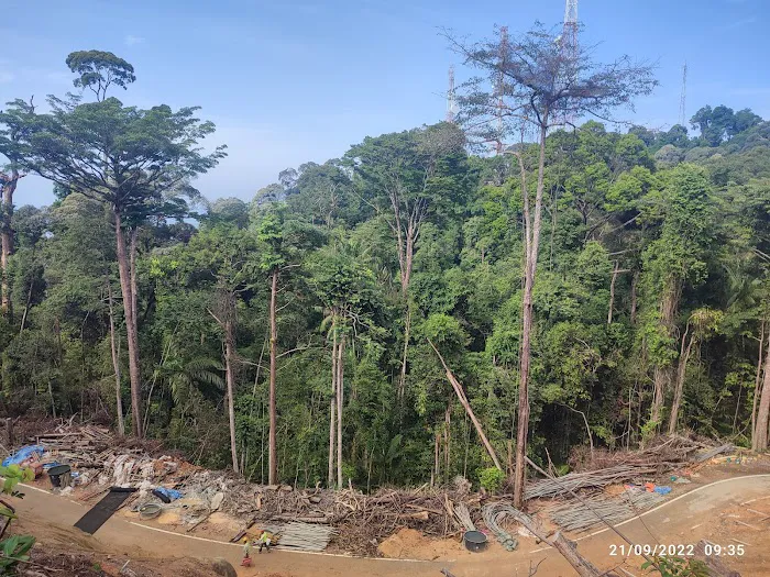Starting Trail Bukit Pelindung Picture 4