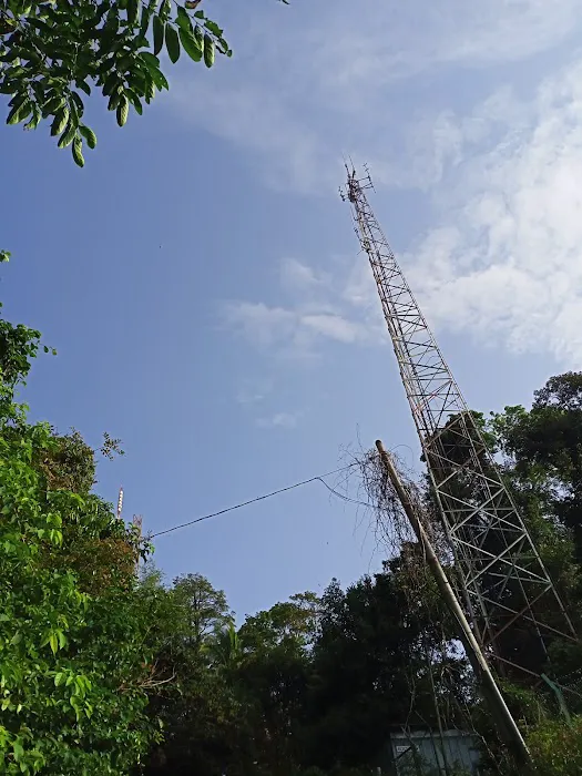 Starting Trail Bukit Pelindung Picture 5
