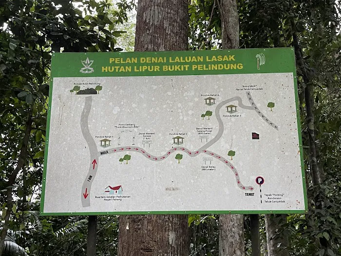 Starting Trail Bukit Pelindung Picture 3