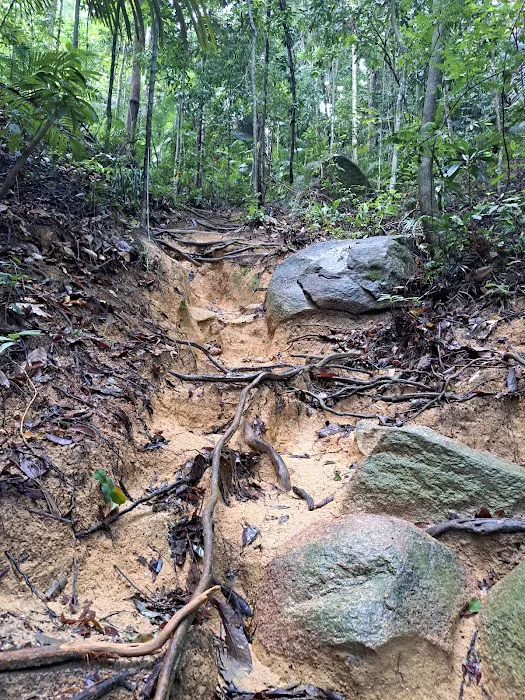 Starting Trail Bukit Pelindung Picture 10