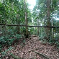 Puncak Tembeling ico