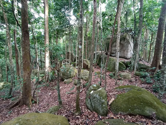 Puncak Tembeling Picture 9