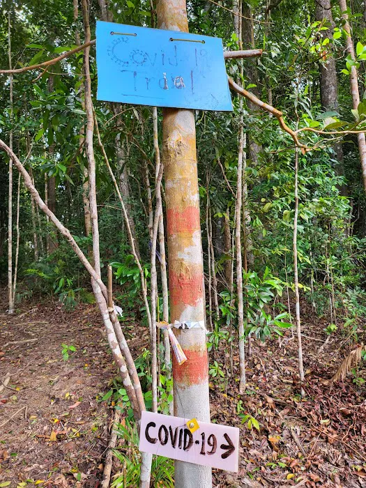 Bukit Pelindung D Embassy Hiking Trail Picture 5