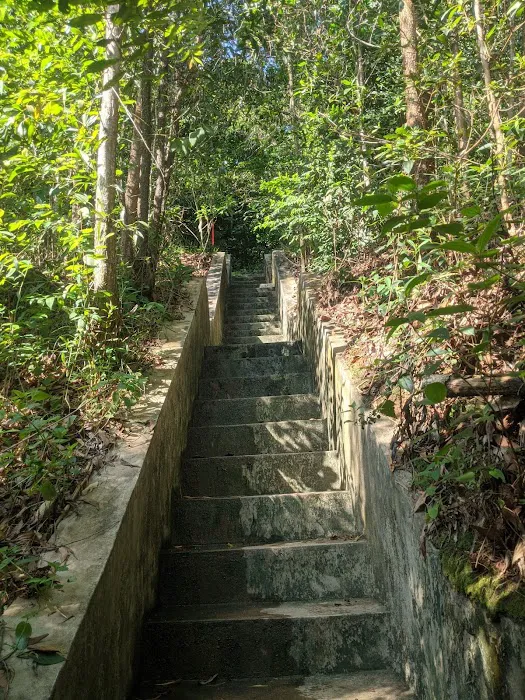 Bukit Pelindung D Embassy Hiking Trail Picture 2