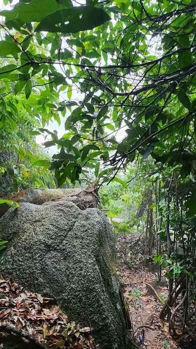 Bukit Pelindung D Embassy Hiking Trail Picture 3