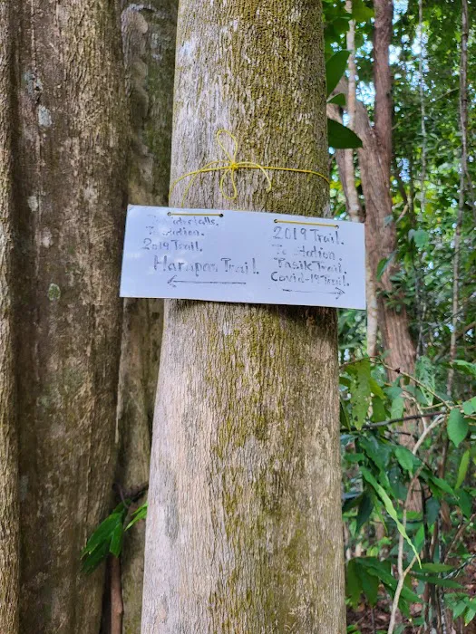 Bukit Pelindung D Embassy Hiking Trail Picture 1