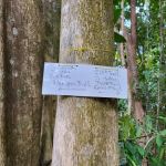 Bukit Pelindung D Embassy Hiking Trail