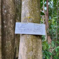 Bukit Pelindung D Embassy Hiking Trail ico