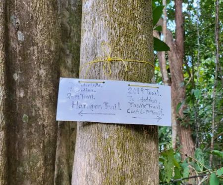 Bukit Pelindung D Embassy Hiking Trail