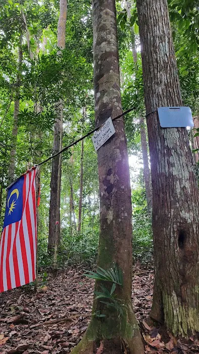 Bukit Pelindung D Embassy Hiking Trail Picture 4