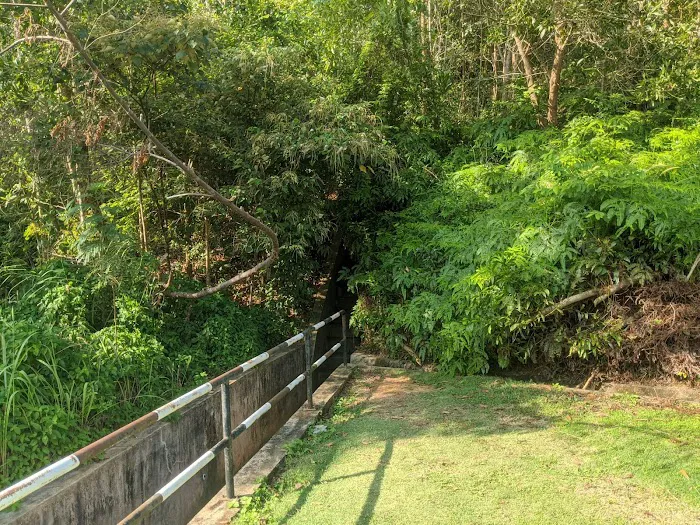 Bukit Pelindung D Embassy Hiking Trail Picture 7