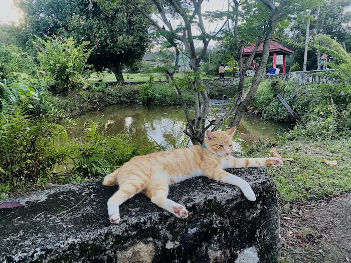 Taman Bukit Teratai Park Picture 6