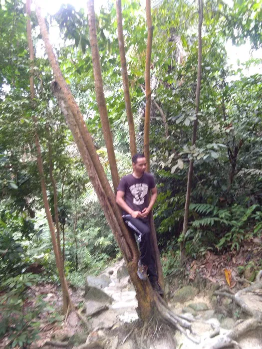 Taman Bukit Teratai Park Picture 7