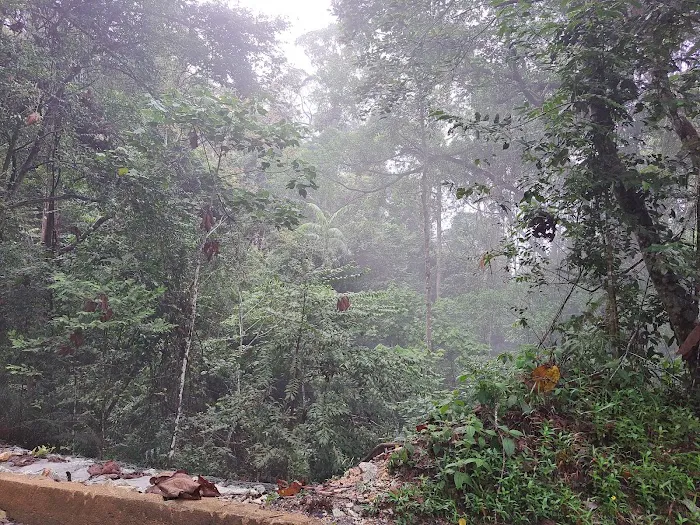 Bukit Pelindung (Pondok Rehat) Picture 10