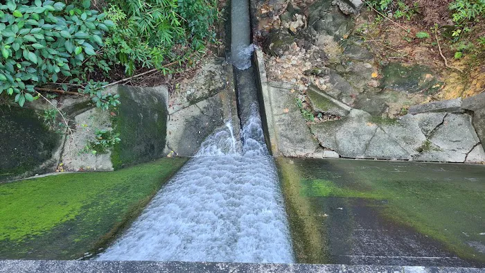 Bukit Galing Water Dam Picture 5