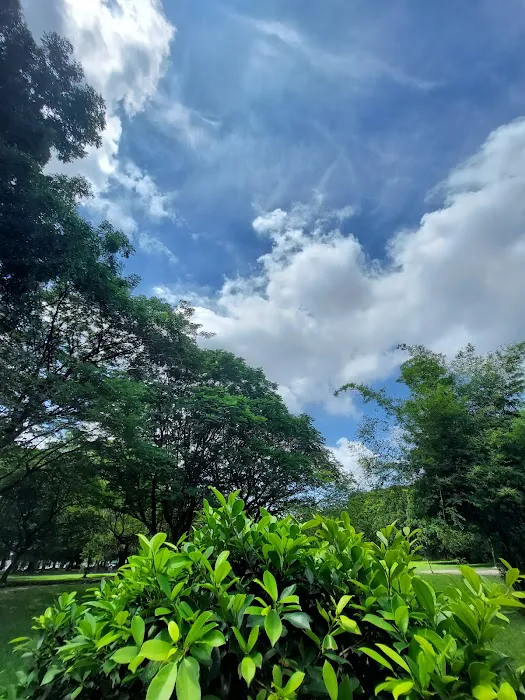 Town Park Pandan Indah Picture 2