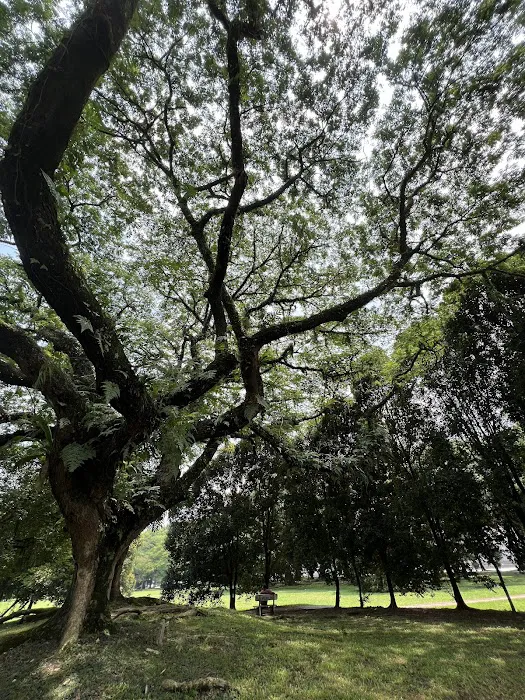 Town Park Pandan Indah Picture 1