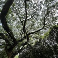 Town Park Pandan Indah ico