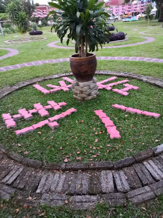 Energy Bagua Picture 10