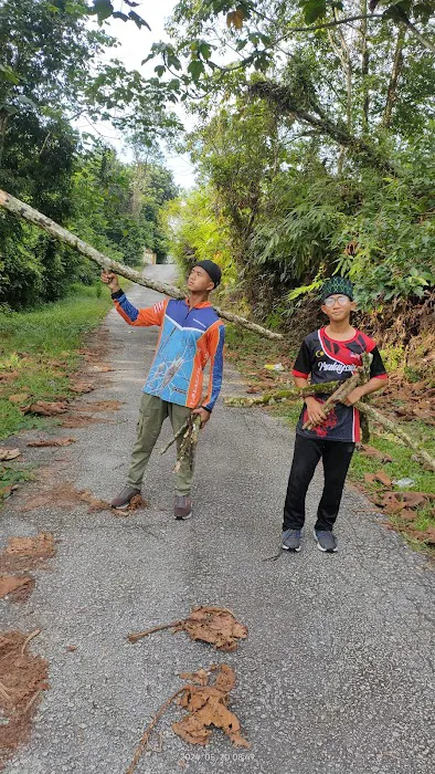 Tanah Ulu Yam Picture 6