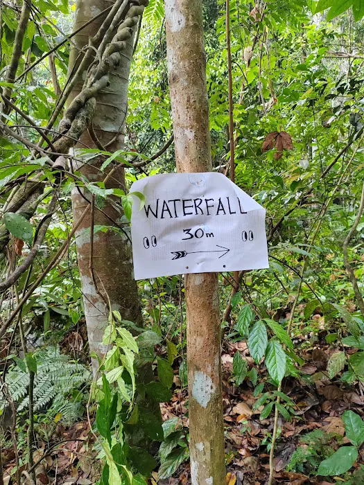 Waterfall Lata Gapi Trailhead Picture 9