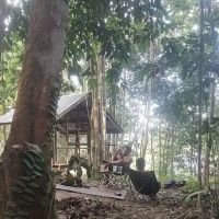 Muizz Camps ico