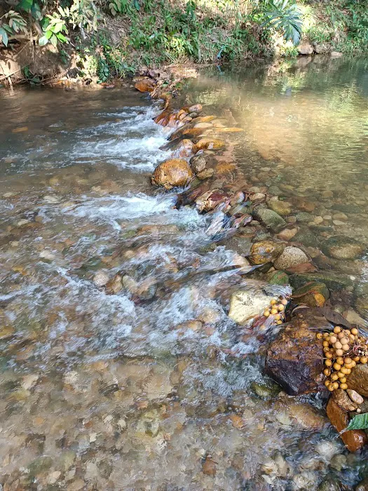 JARI MANIS CAMPSITE Picture 9