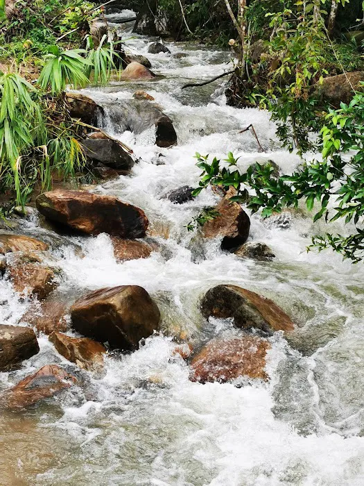 Jelawang Agrofarm Picture 9