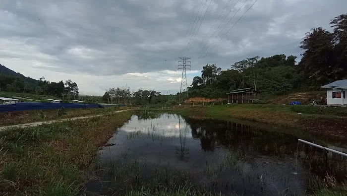 Jelawang Agrofarm Picture 6