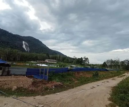 Jelawang Agrofarm