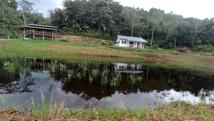 Jelawang Agrofarm Picture 2