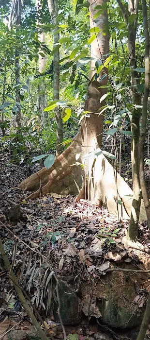 Sg long Creek Picture 2