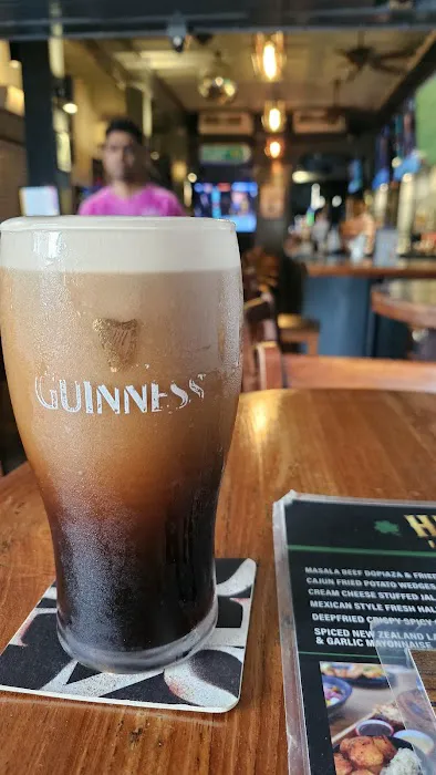 Healy Mac's Irish Bar & Restaurant - Changkat Picture 4