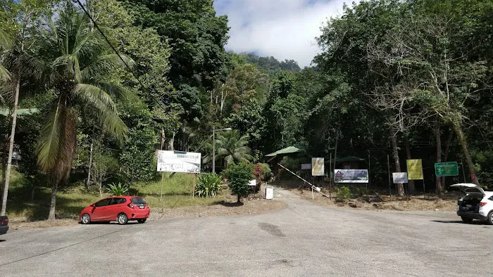 Stong Hill Resort Picture 8