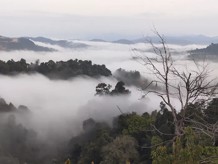 Sungai Long Hill Picture 7