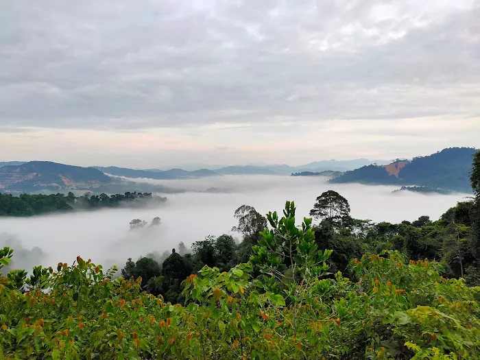 Sungai Long Hill Picture 6