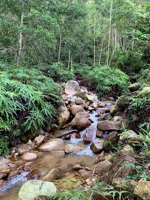 Sungai Long Hill Picture 5
