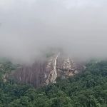 Jelawang Vista