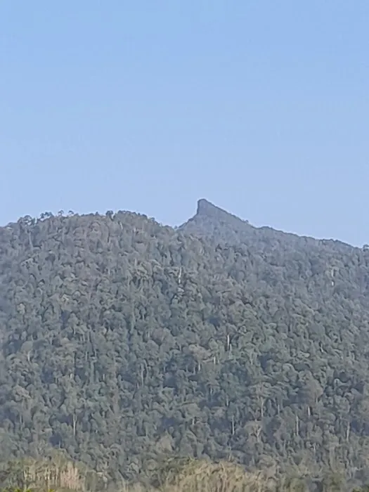 Jelawang Vista Picture 7