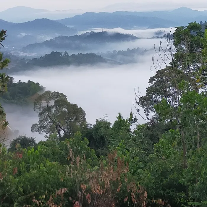 Sungai Long Sea of Clouds Picture 1