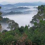 Sungai Long Sea of Clouds