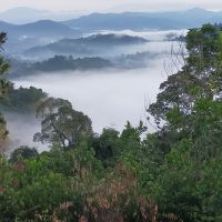Sungai Long Sea of Clouds ico