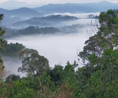Sungai Long Sea of Clouds