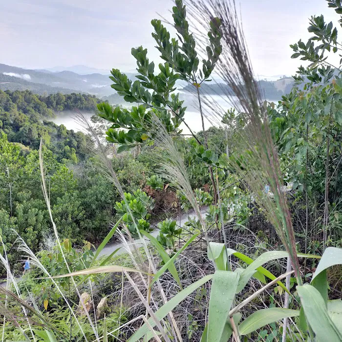 Sungai Long Sea of Clouds Picture 10