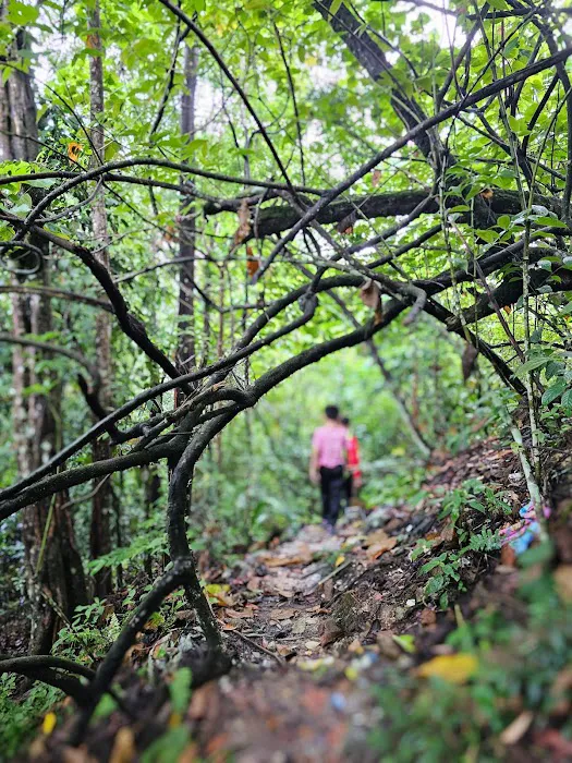 Sg Long Hike Peak Picture 4